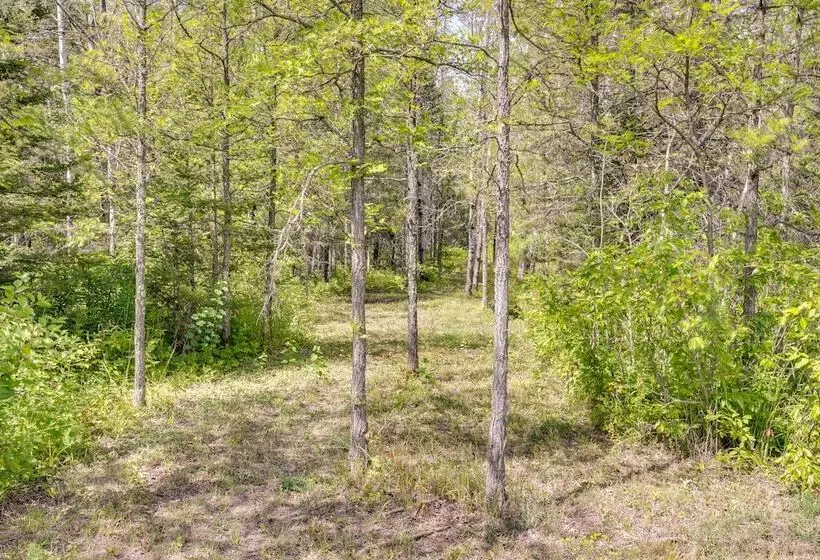 Pet Friendly Iron River Cabin With Fire Pit!