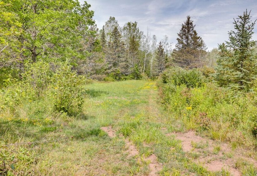 Pet Friendly Iron River Cabin With Fire Pit!