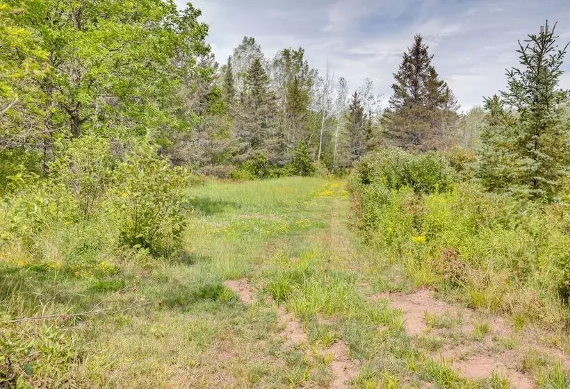 Pet Friendly Iron River Cabin With Fire Pit!