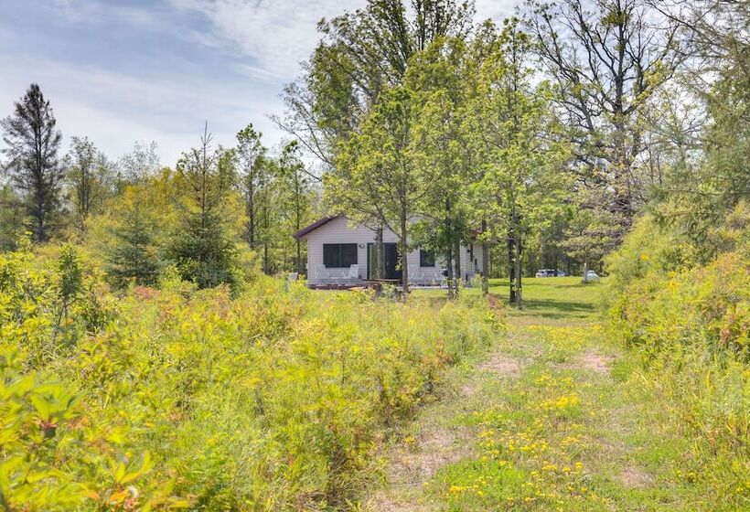 Pet Friendly Iron River Cabin With Fire Pit!