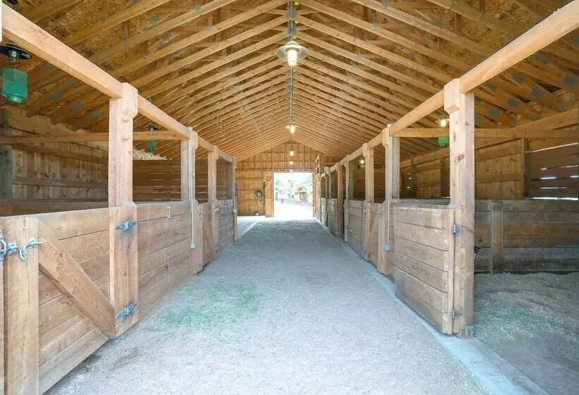 Log Cabin On Private 45 Acre Ranch In Florissant!