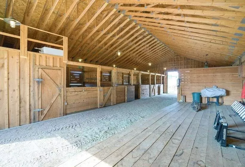 Log Cabin On Private 45 Acre Ranch In Florissant!