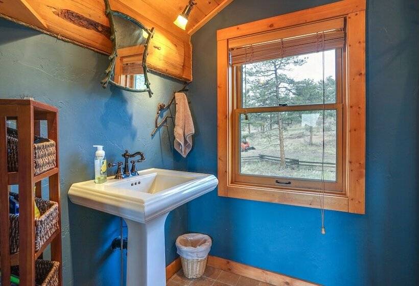 Log Cabin On Private 45 Acre Ranch In Florissant!