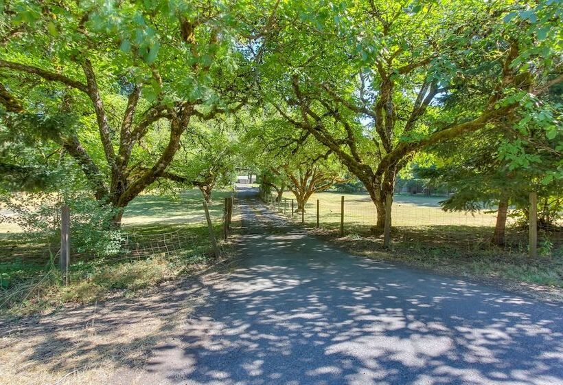 Vintage Cottage By Leaburg Canal W/ Large Yard!