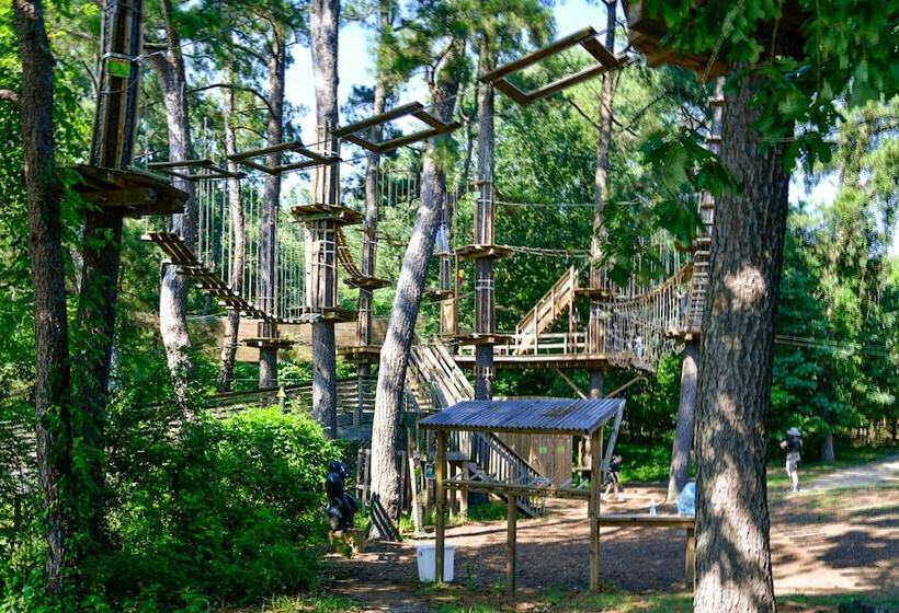 Cordova Home Rental: Shelby Farms Greenline Access