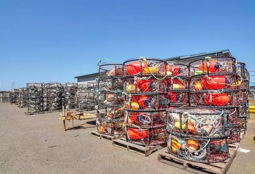 On Site Creek & Fishing: Cozy Coos Bay Retreat!