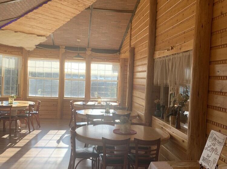 Отель Alexander