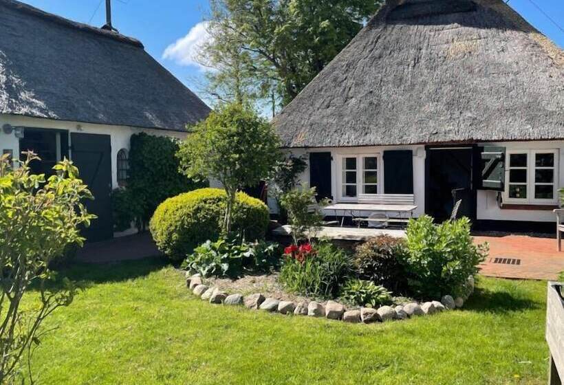 Friesenkate Am Seedeich