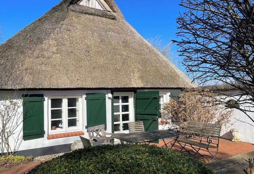 Friesenkate Am Seedeich