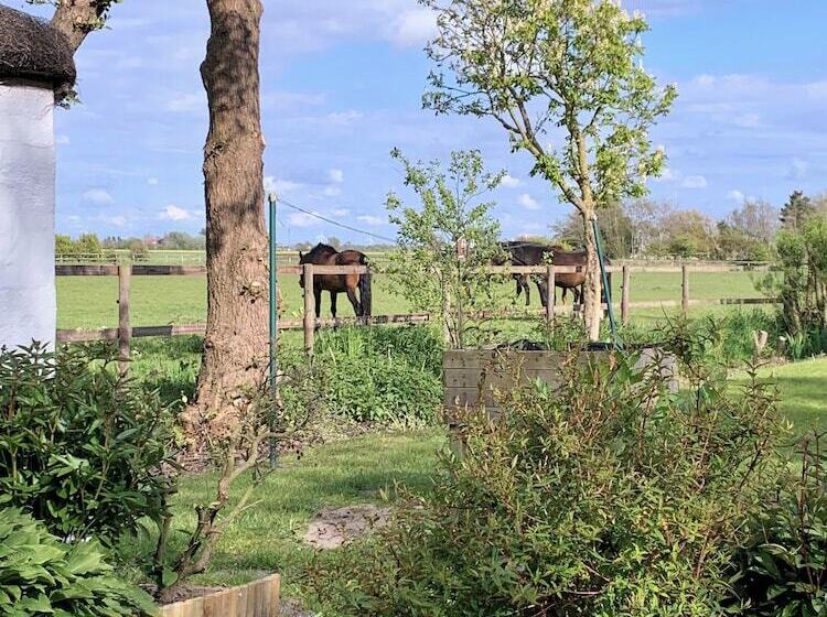 Friesenkate Am Seedeich