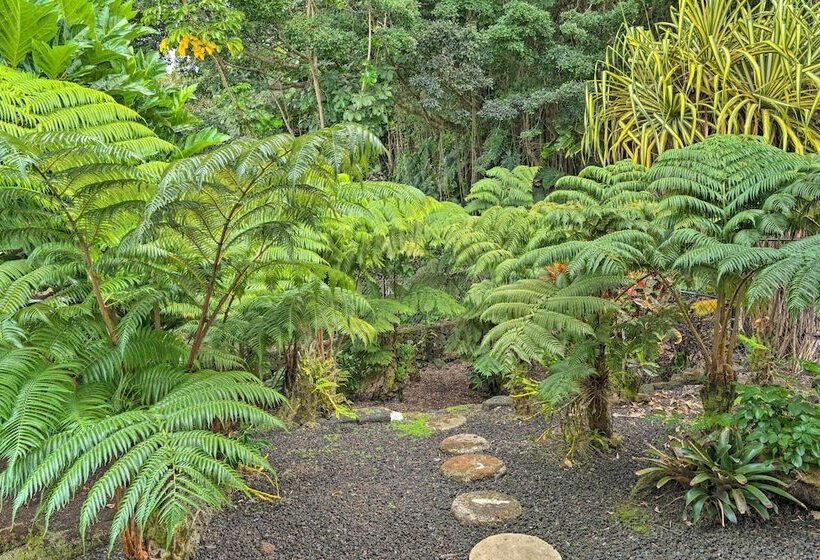 Hilo Oasis   32 Mi To Volcanoes National Park!