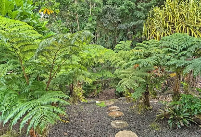 Hilo Oasis   32 Mi To Volcanoes National Park!