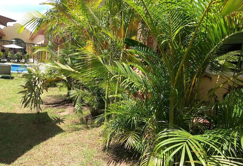 Отель Boutique Sol Y Luna Spa