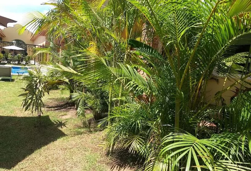 ホテル Boutique Sol Y Luna Spa