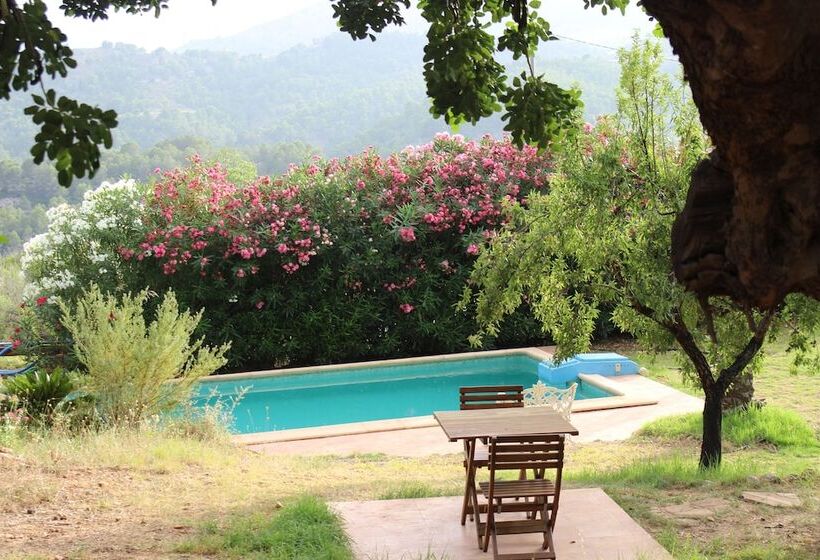 酒店 Casa Del Paso