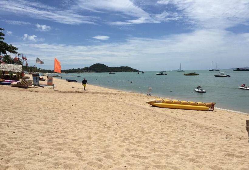 ホテル Greenhouse Samui Apartments