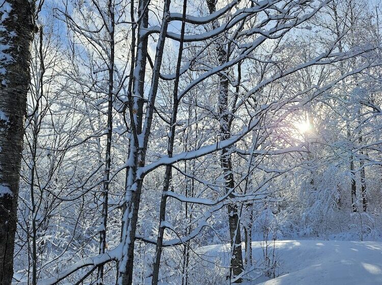 호텔 Parc Du Mont Citadelle