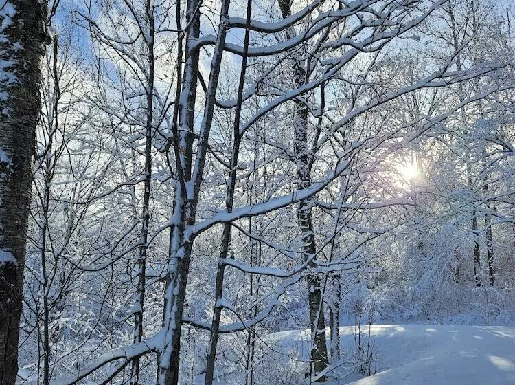 Hotelli Parc Du Mont Citadelle
