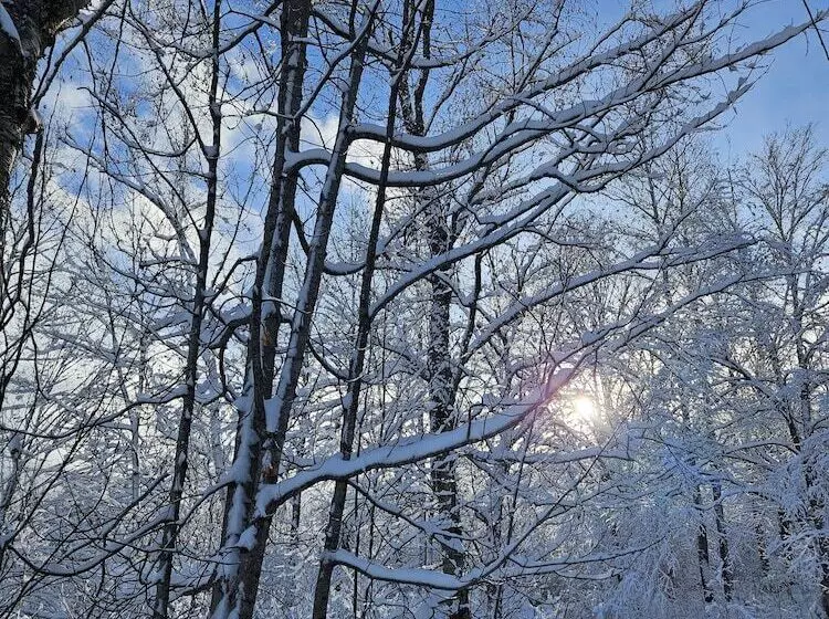 Hotelli Parc Du Mont Citadelle
