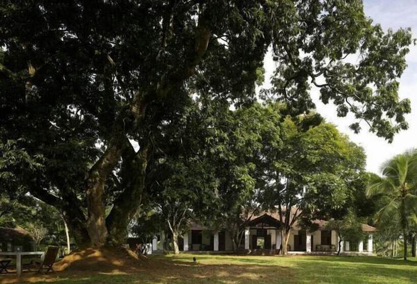 펜션 Comilla Bungalow