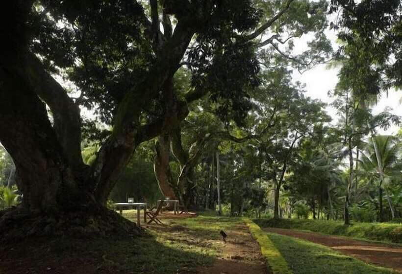 펜션 Comilla Bungalow