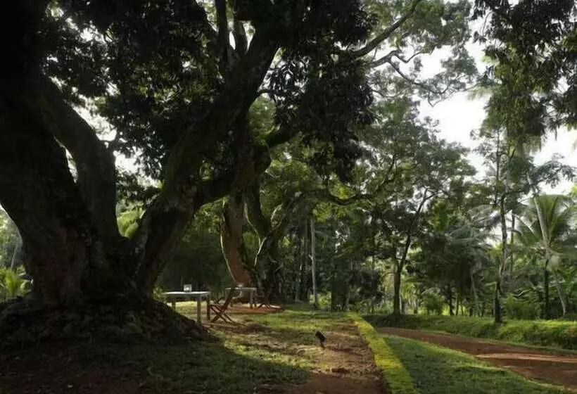 ペンション Comilla Bungalow