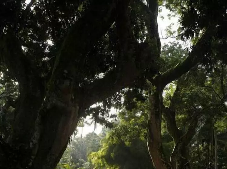 ペンション Comilla Bungalow