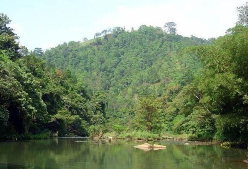 ペンション Sandalwood