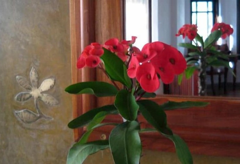 ペンション Sandalwood