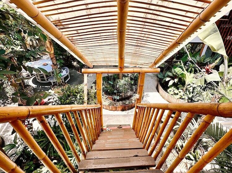 פנסיון Serenity Eco Guesthouse And Yoga