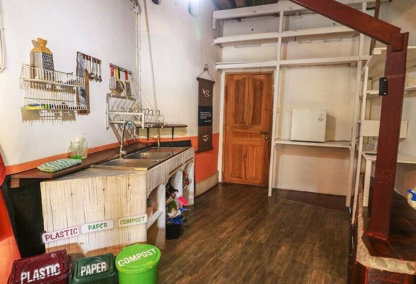 פנסיון Serenity Eco Guesthouse And Yoga