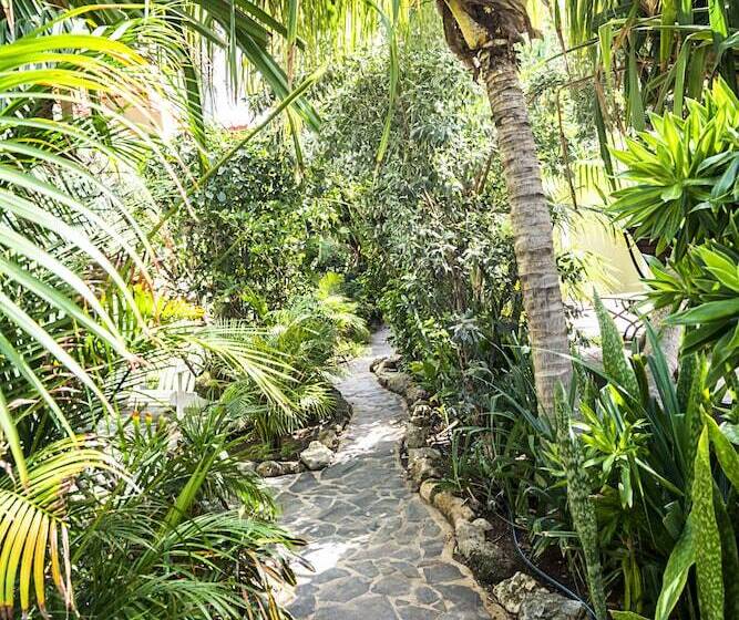 Pietermaai Caribbean Vibes