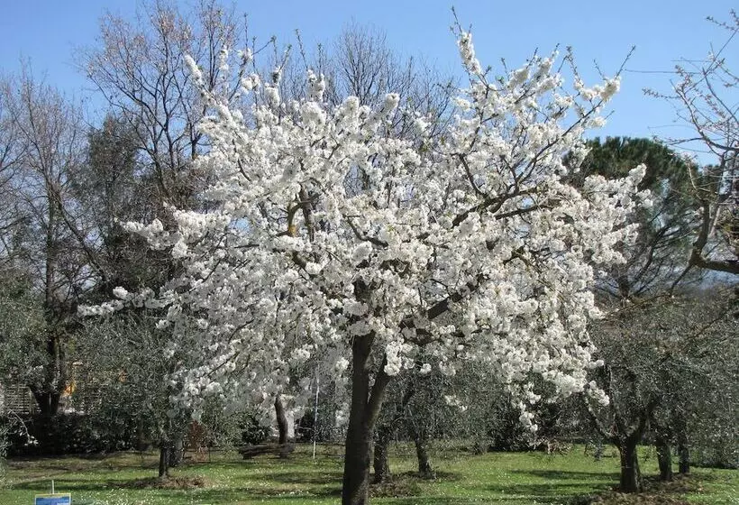 Poggio Delle Rose Tuscany Relais