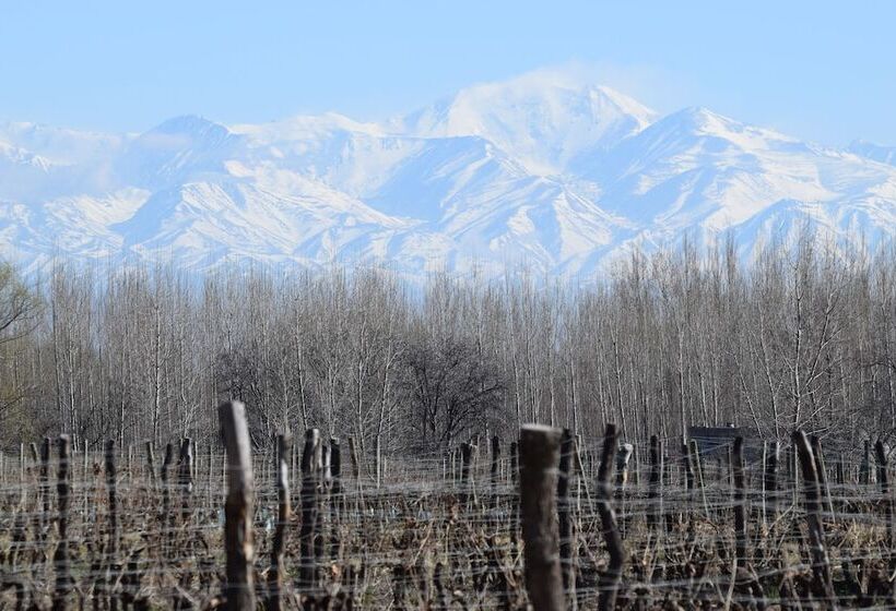 Postales Hotel Boutique Valle De Uco