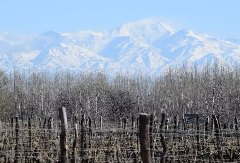 Postales Hotel  Boutique Valle De Uco