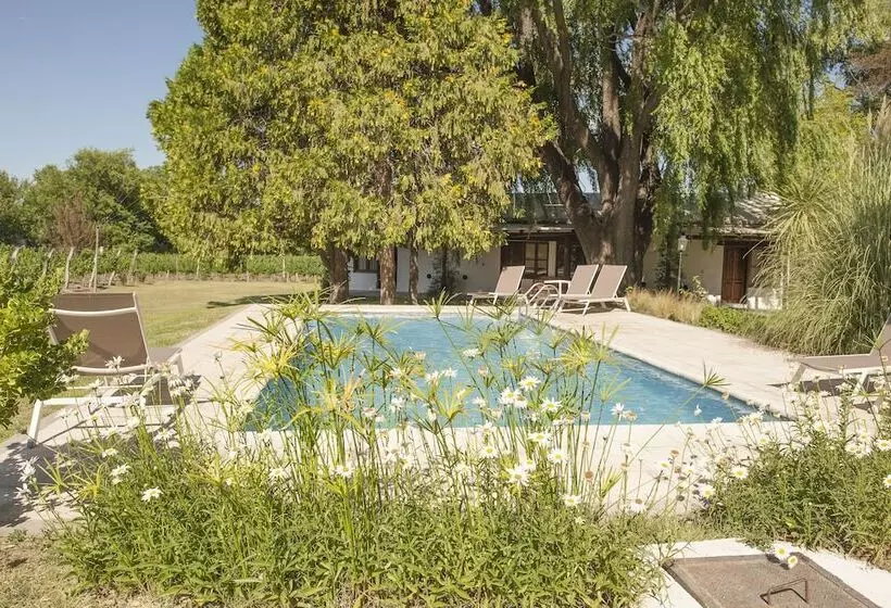 Postales Hotel  Boutique Valle De Uco