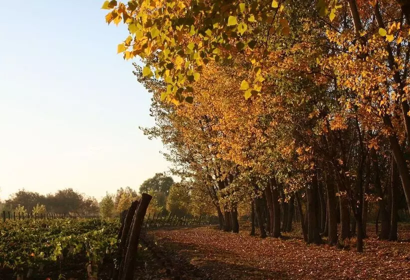 Postales Hotel  Boutique Valle De Uco