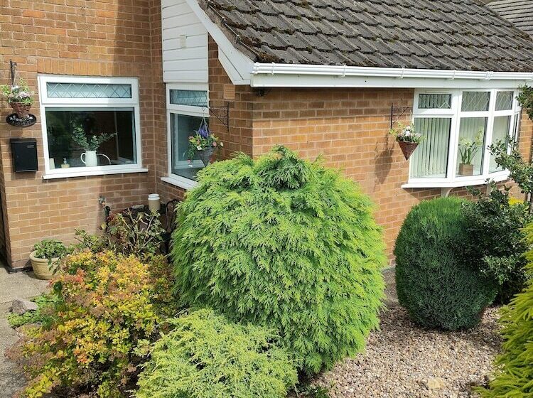 레지던스 Split Level Bungalow   Sleeps4   Close To Walks