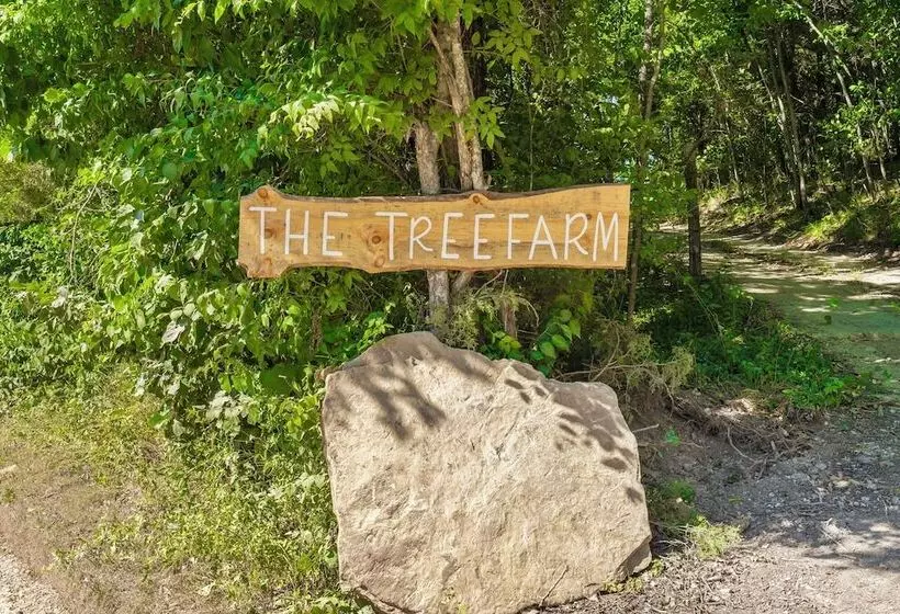 Tree Farm Duo   Best Of The Ozarks!