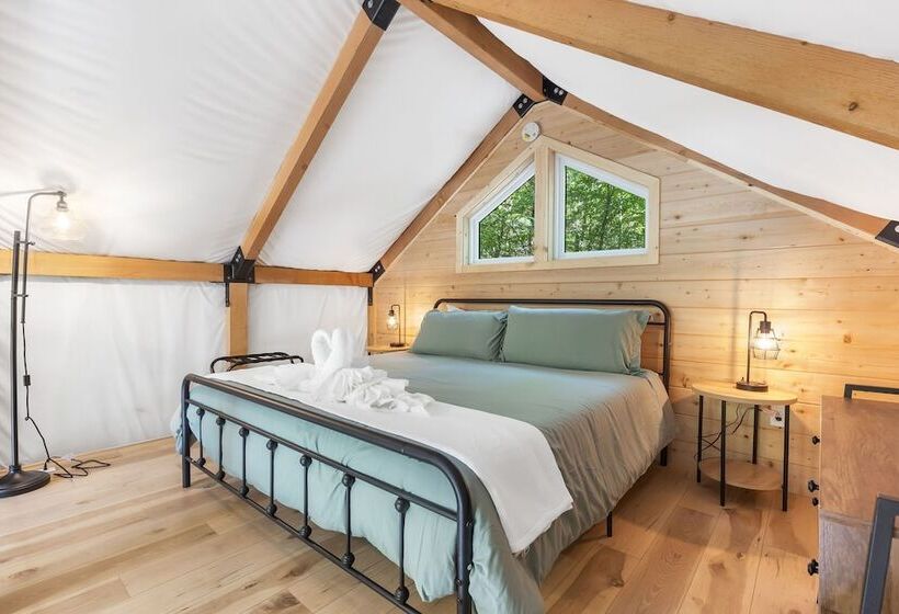 Tree Farm Duo   Best Of The Ozarks!