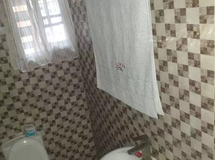 Aliviar Hotel Ibadan