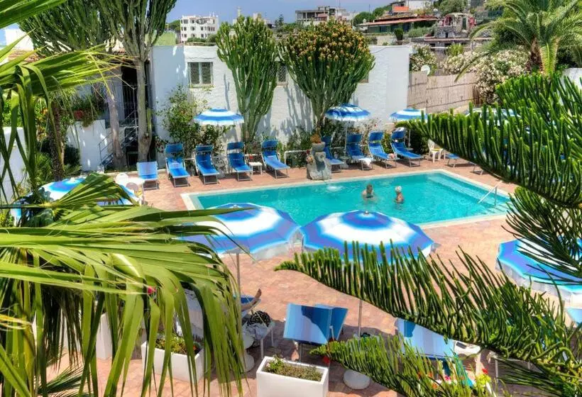 Room In B&b   Ischia Forio With A Breathtaking View, Above The Poseidon Gardens, 3 People