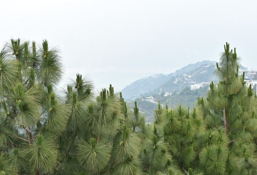 Great View Hotel And Restaurant