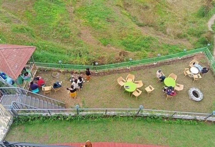 Отель Alpine Musk