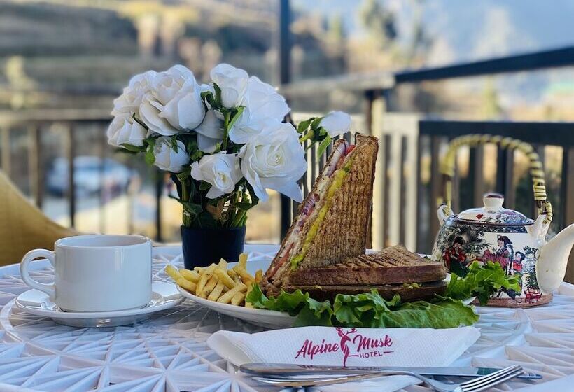 Отель Alpine Musk