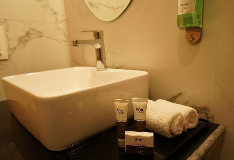 Отель Alpine Musk