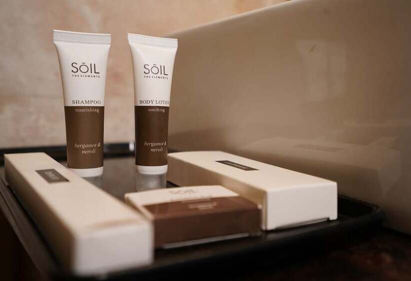 Отель Alpine Musk