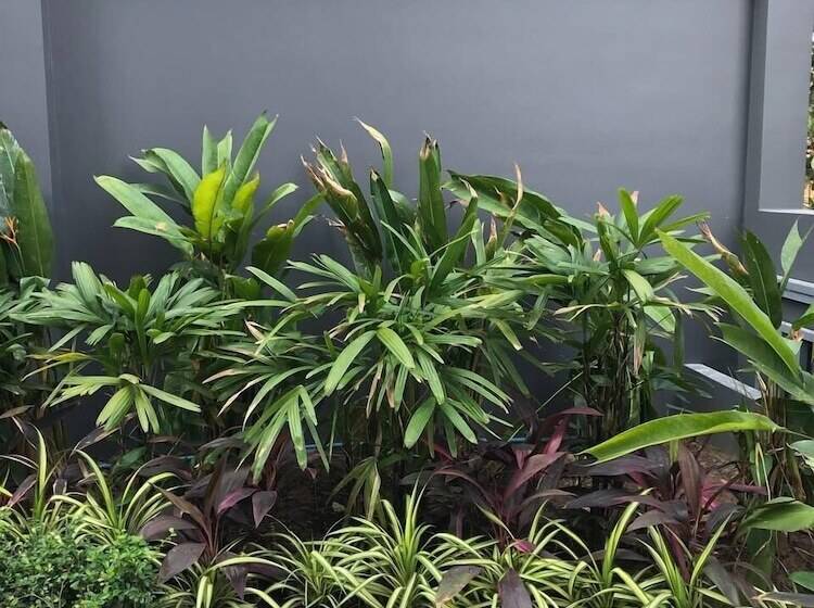 호텔 Chom Chao City