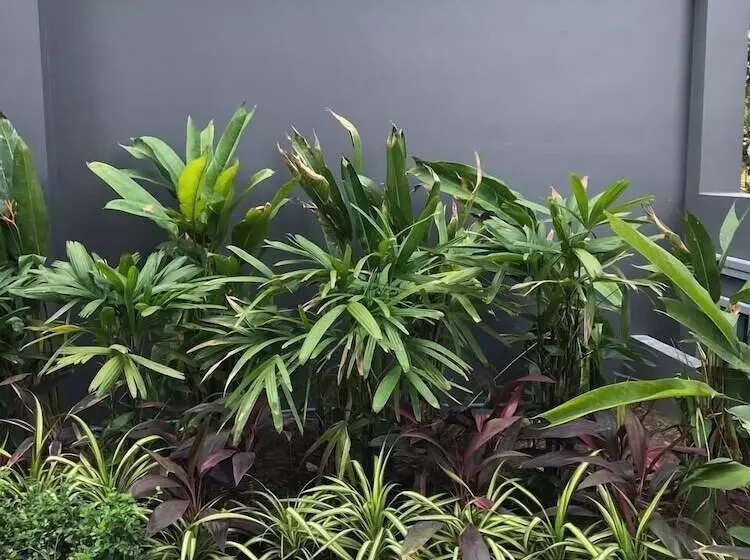 هتل Chom Chao City