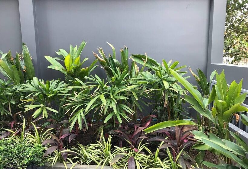 호텔 Chom Chao City